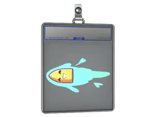 Skin's image