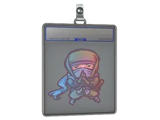 Sticker Slab | Silent Ninja
