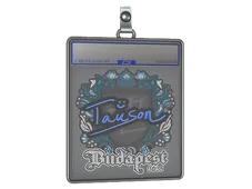 Sticker Slab | Tauson | Budapest 2025