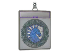 Sticker Slab | Team Liquid (Foil) | Cologne 2026
