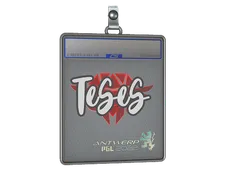 Sticker Slab | TeSeS | Antwerp 2022