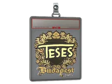 Sticker Slab | TeSeS (Gold) | Budapest 2025