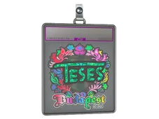 Sticker Slab | TeSeS (Holo) | Budapest 2025
