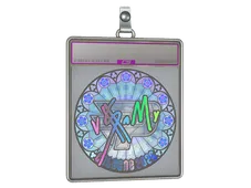 Sticker Slab | v$m (Holo) | Cologne 2026