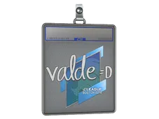 Sticker Slab | v4lde | Boston 2018