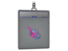 Skin's image
