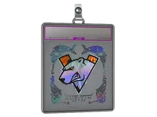 Sticker Slab | Virtus.Pro (Holo) | Austin 2025