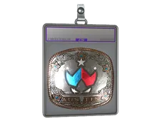 Sticker Slab | Wildcard (Foil) | Austin 2025
