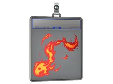 Skin's image