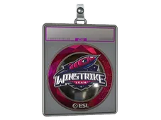 Sticker Slab | Winstrike Team (Foil) | Katowice 2019