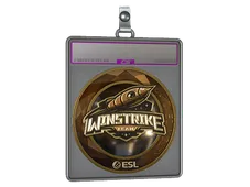 Sticker Slab | Winstrike Team (Gold) | Katowice 2019