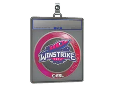 Sticker Slab | Winstrike Team | Katowice 2019