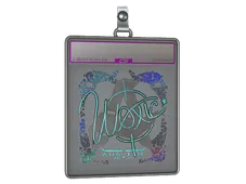 Sticker Slab | woxic (Holo) | Austin 2025