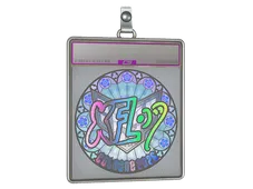Sticker Slab | xfl0ud (Holo) | Cologne 2026