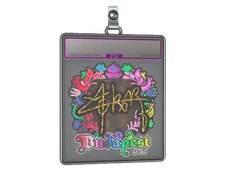 Sticker Slab | z4KR (Holo) | Budapest 2025