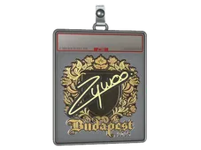 Sticker Slab | ZywOo (Gold) | Budapest 2025