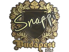 Skin's image