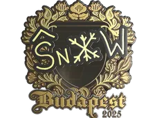 Skin's image