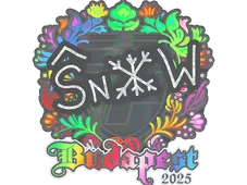Skin's image