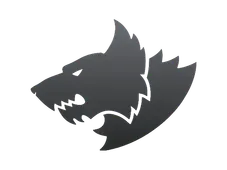 Skin's image