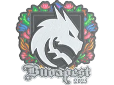 Skin's image