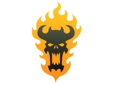 Skin's image