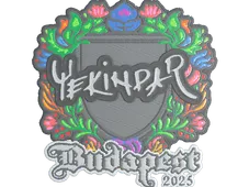 Skin's image