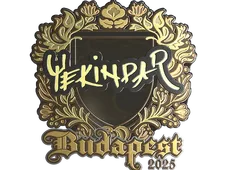 Skin's image
