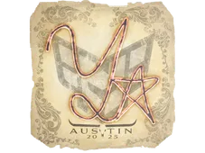 Skin's image