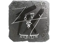 Skin's image