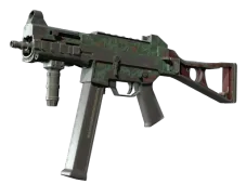 Skin's image