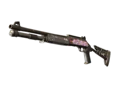 Skin's image