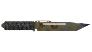 Skin's image