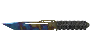 Skin's image
