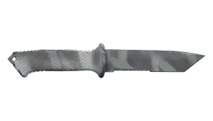 Skin's image