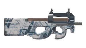 Skin's image