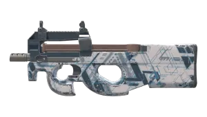 Skin's image