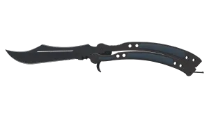 ★ Butterfly Knife | Night