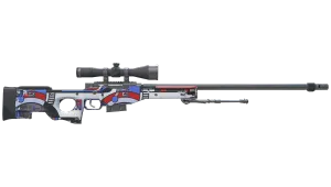 Skin's image