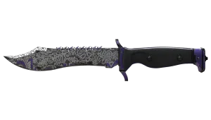 ★ Bowie Knife | Freehand (Well-Worn)
