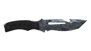Skin's image