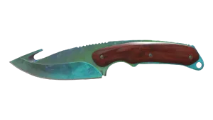 Skin's image