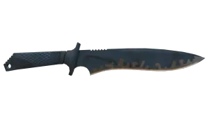 Skin's image