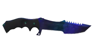 Skin's image