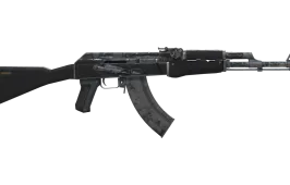 Skin's image
