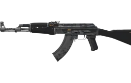 Skin's image