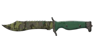 Skin's image