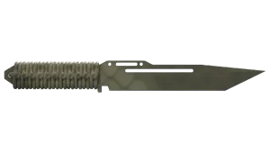 Skin's image