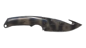 Skin's image
