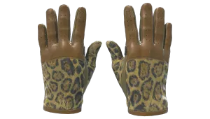 Skin's image